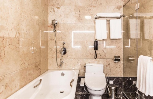 Golden Tulip Addis Ababa image 6